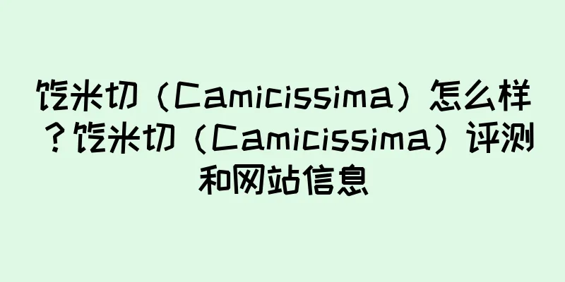 恺米切（Camicissima）怎么样？恺米切（Camicissima）评测和网站信息