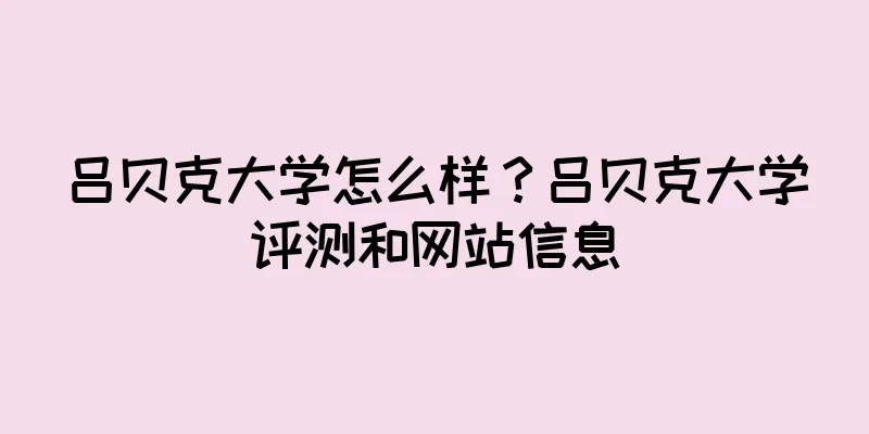 吕贝克大学怎么样？吕贝克大学评测和网站信息